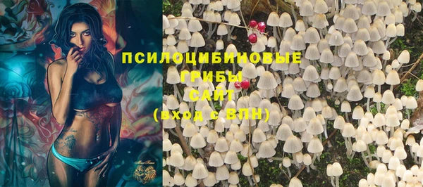 прущая мука Краснослободск