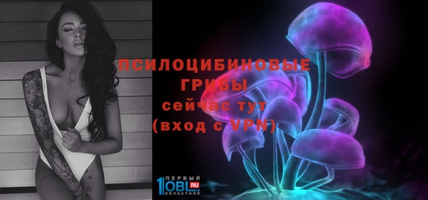 прущая мука Краснослободск