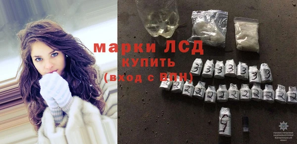 прущие грибы Костерёво