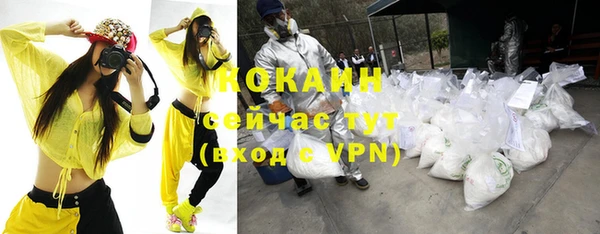 прущие грибы Костерёво