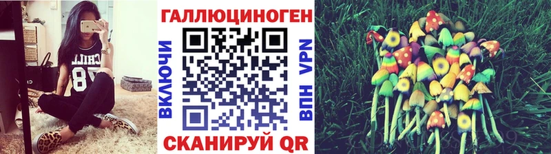Псилоцибиновые грибы прущие грибы kraken как зайти Черемхово